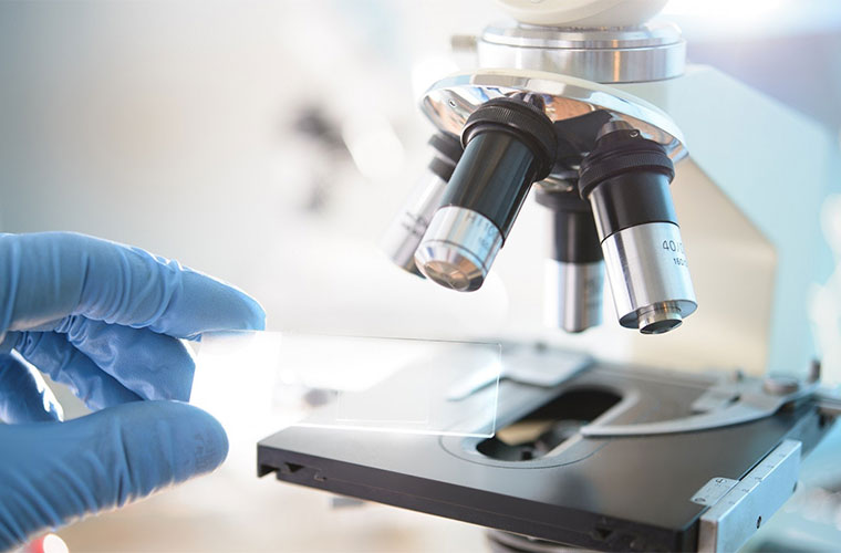 为科研注入“热”洞察：高德智造红外热像仪的应用与定制化解决方案