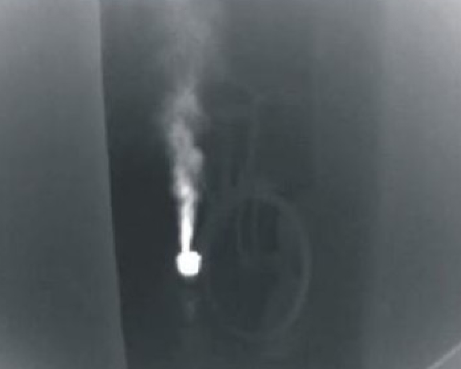 c2_img0101.jpg