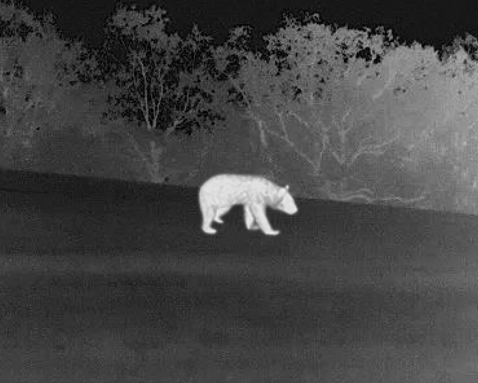 c2_img022.jpg