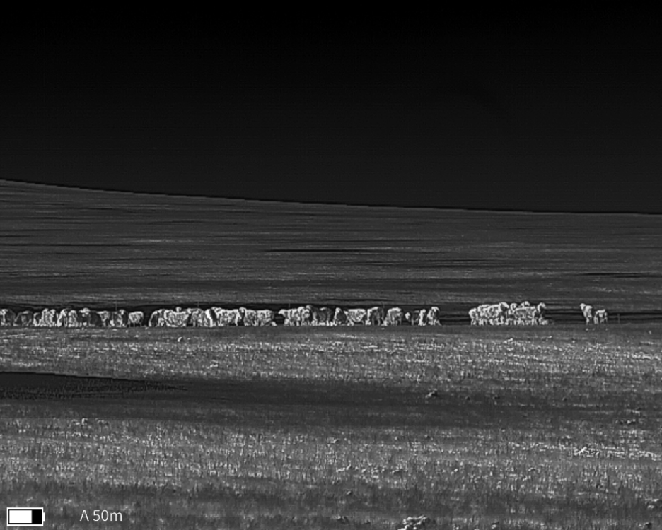 c2_img033.jpg