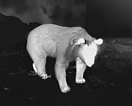 53.jpg